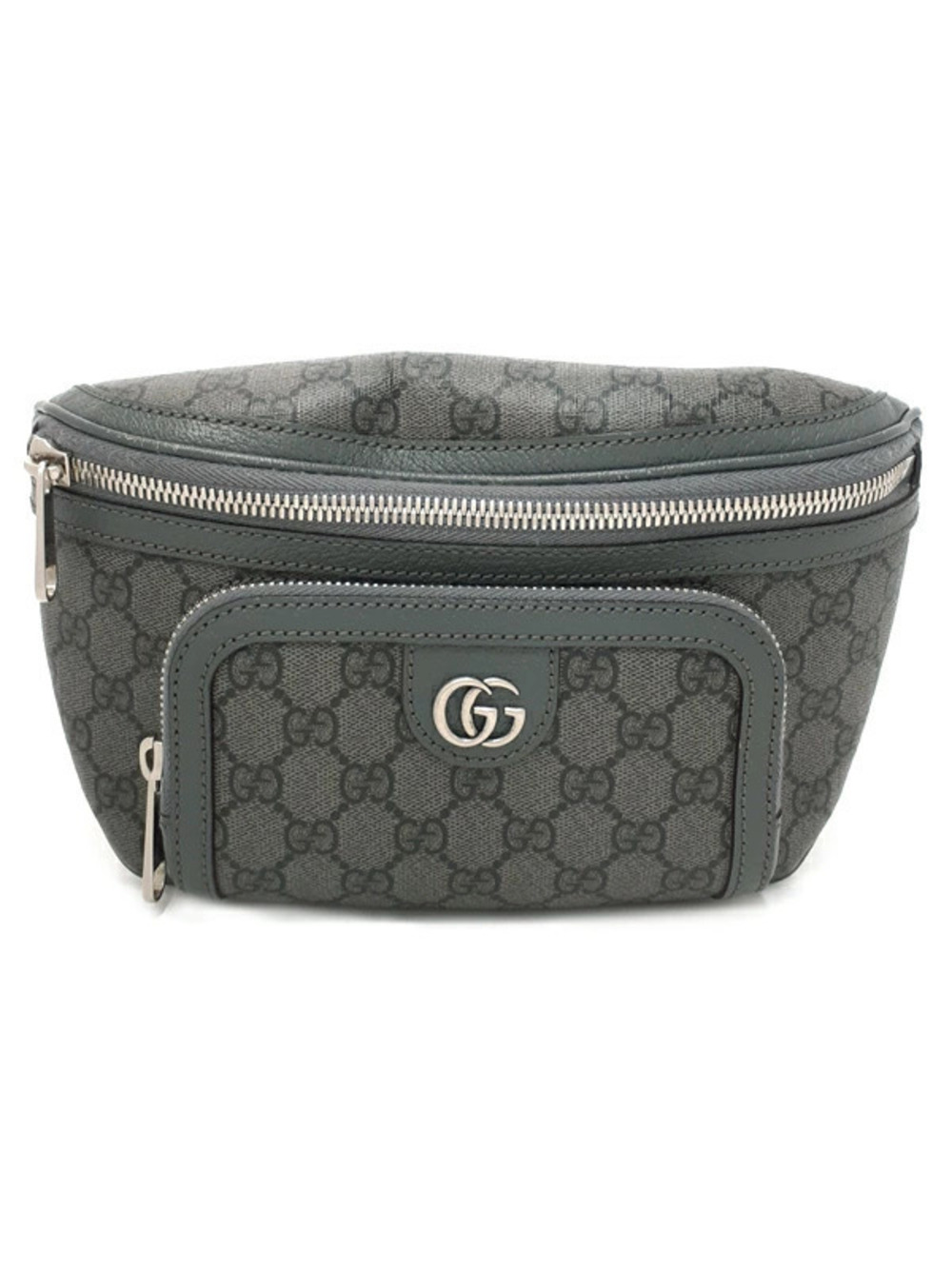 Gucci Ophidia Belt Bag Body